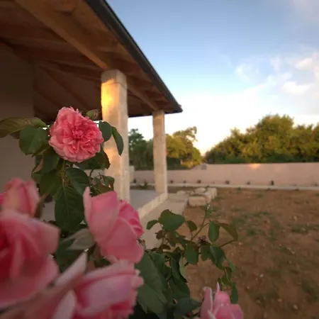 Villa Casa Di Marco Privlaka (Zadar)